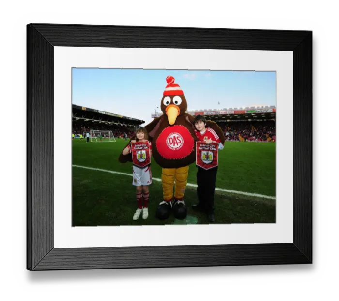 Framed Print : Bristol City vs. Nottingham Forest: A Football Rivalry - Season 11-12 Framed Print : Bristol City vs. Nottingham Forest: A Football Rivalry - Season 11-12