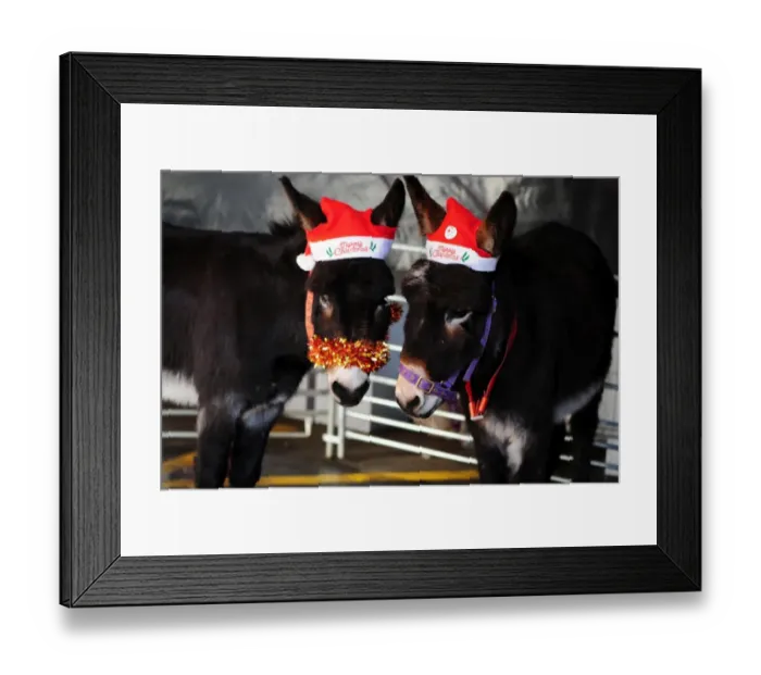 Framed Print : Bristol City vs. Nottingham Forest: A Football Rivalry - Season 11-12 Framed Print : Bristol City vs. Nottingham Forest: A Football Rivalry - Season 11-12
