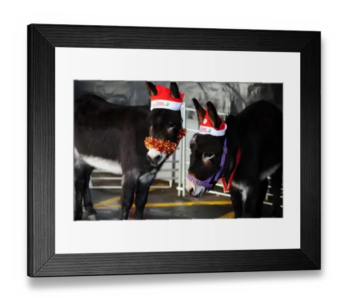Framed Print : Bristol City vs. Nottingham Forest: A Football Rivalry - Season 11-12 Framed Print : Bristol City vs. Nottingham Forest: A Football Rivalry - Season 11-12