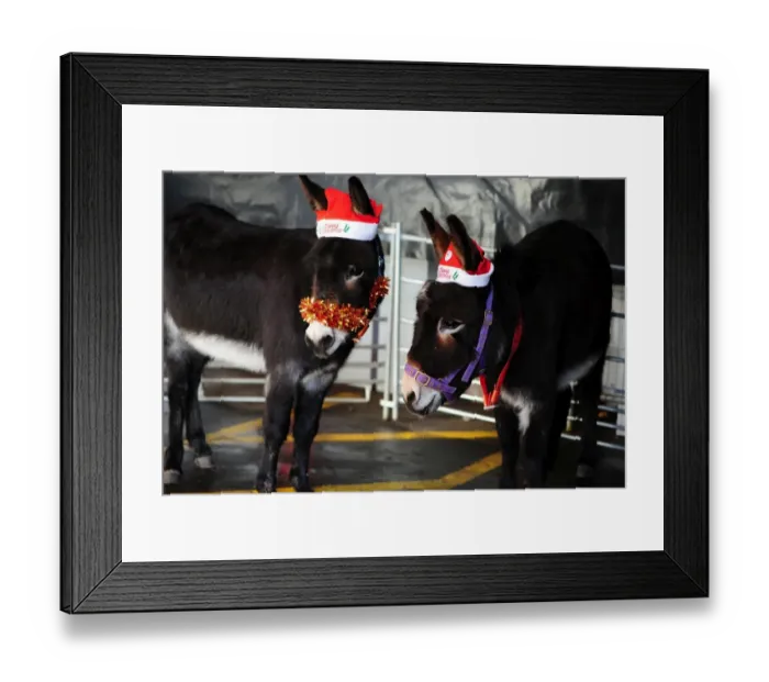 Framed Print : Bristol City vs. Nottingham Forest: A Football Rivalry - Season 11-12 Framed Print : Bristol City vs. Nottingham Forest: A Football Rivalry - Season 11-12