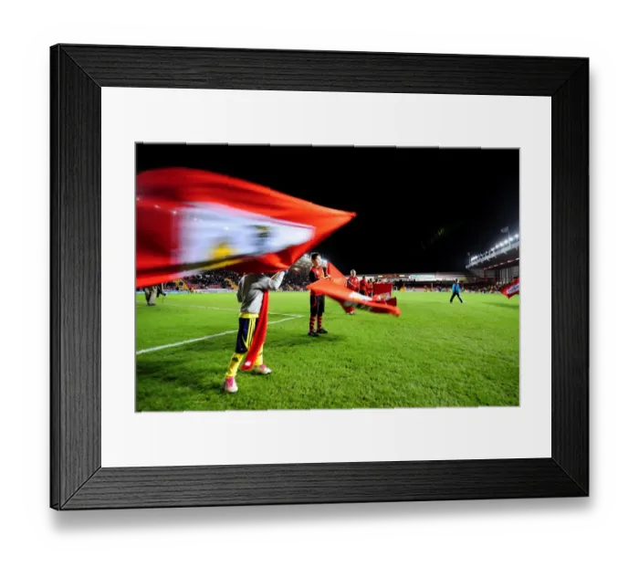Framed Print : The Intense Showdown: Bristol City vs. Millwall - Season 11-12 Framed Print : The Intense Showdown: Bristol City vs. Millwall - Season 11-12