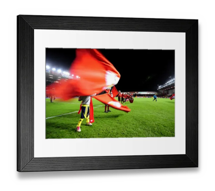 Framed Print : Bristol City vs. Millwall: The Exciting Showdown - Season 11-12 Framed Print : Bristol City vs. Millwall: The Exciting Showdown - Season 11-12