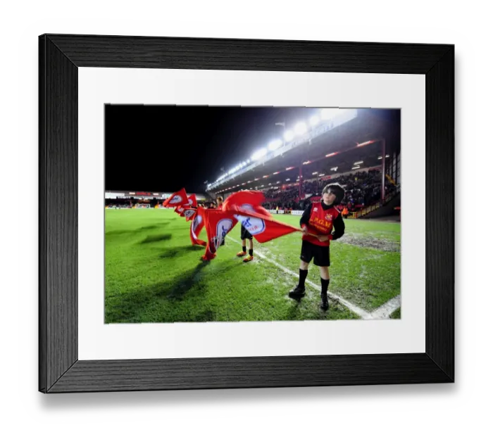 Framed Print : The Epic Showdown: Bristol City vs Millwall - Season 11-12 Framed Print : The Epic Showdown: Bristol City vs Millwall - Season 11-12