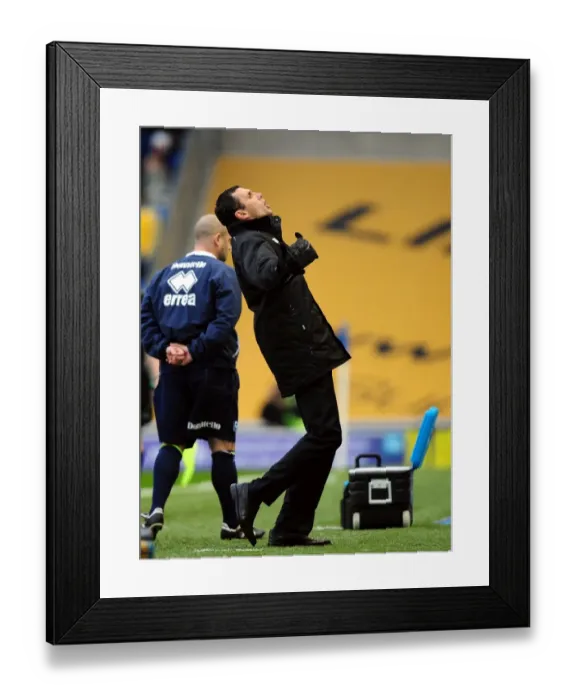 Framed Print : Championship Showdown: Gus Poyet vs. Bristol City at Brighton's American Express Community Stadium (January 14, 2012) Framed Print : Championship Showdown: Gus Poyet vs. Bristol City at Brighton's American Express Community Stadium (January 14, 2012)