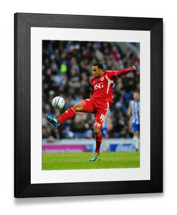Framed Print : Brighton vs. Bristol City: Nicky Maynard in Championship Action - 14.01.2012 Framed Print : Brighton vs. Bristol City: Nicky Maynard in Championship Action - 14.01.2012