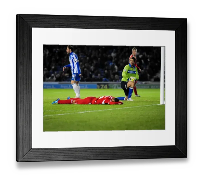 Framed Print : Nicky Maynard's Frustrating Miss: Brighton v Bristol City Championship Clash (14 / 01 / 2012) Framed Print : Nicky Maynard's Frustrating Miss: Brighton v Bristol City Championship Clash (14 / 01 / 2012)