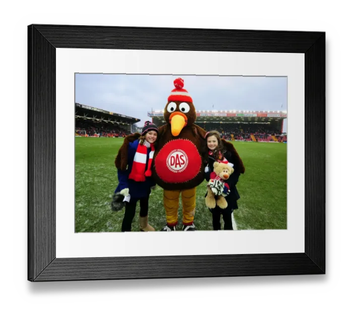 Framed Print : Bristol City vs Leeds United: Clash of the Seasons 11-12