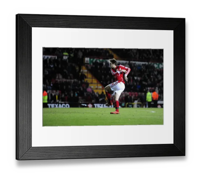 Framed Print : Last-Minute Thriller: Brett Pitman's Equalizer for Bristol City vs. Crystal Palace in Championship 2012 Framed Print : Last-Minute Thriller: Brett Pitman's Equalizer for Bristol City vs. Crystal Palace in Championship 2012