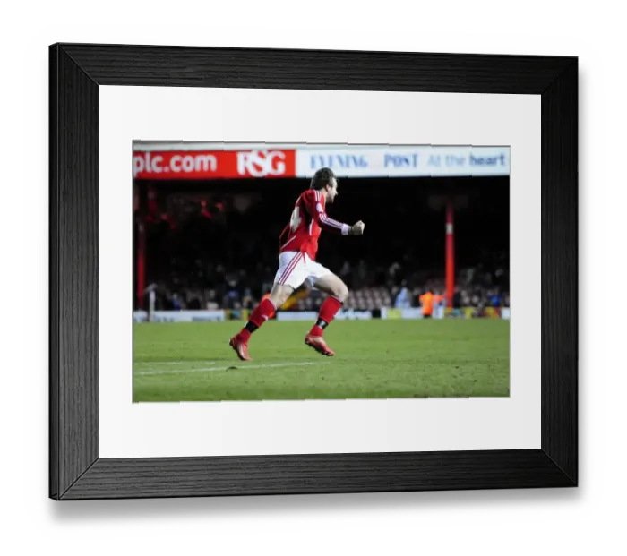 Framed Print : Last-Minute Drama: Brett Pitman's Equalizer for Bristol City Against Crystal Palace in Championship (14 / 02 / 2012)