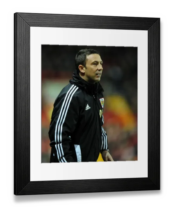 Framed Print : Derek McInnes Leads Bristol City in Championship Clash against Crystal Palace at Ashton Gate Stadium (14 / 02 / 2012) Framed Print : Derek McInnes Leads Bristol City in Championship Clash against Crystal Palace at Ashton Gate Stadium (14 / 02 / 2012)