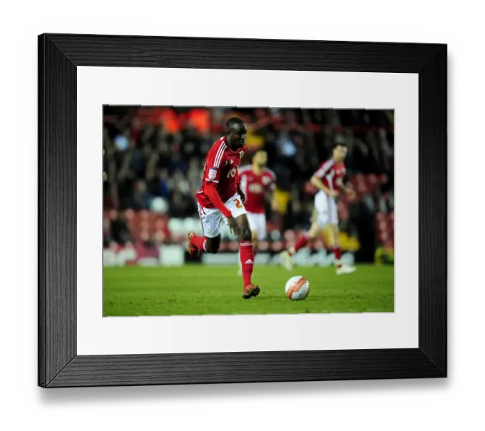 Framed Print : Bristol City vs Crystal Palace: Albert Adomah in Championship Action at Ashton Gate Stadium - 14 / 02 / 2012