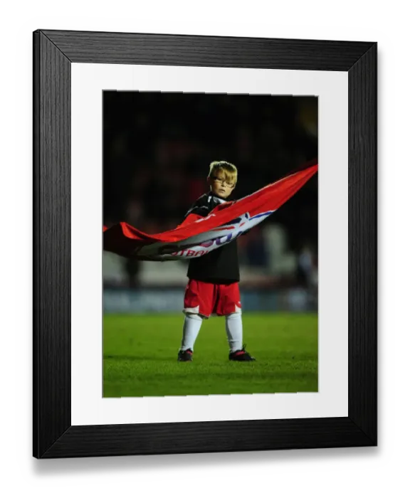 Framed Print : Championship Showdown: Bristol City vs Crystal Palace, 14 / 02 / 2012 - Ashton Gate Stadium Framed Print : Championship Showdown: Bristol City vs Crystal Palace, 14 / 02 / 2012 - Ashton Gate Stadium