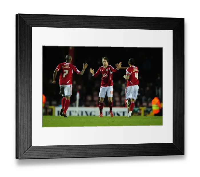 Framed Print : Brett Pitman's Goal Celebration: Bristol City vs. Crystal Palace (Championship 2012)