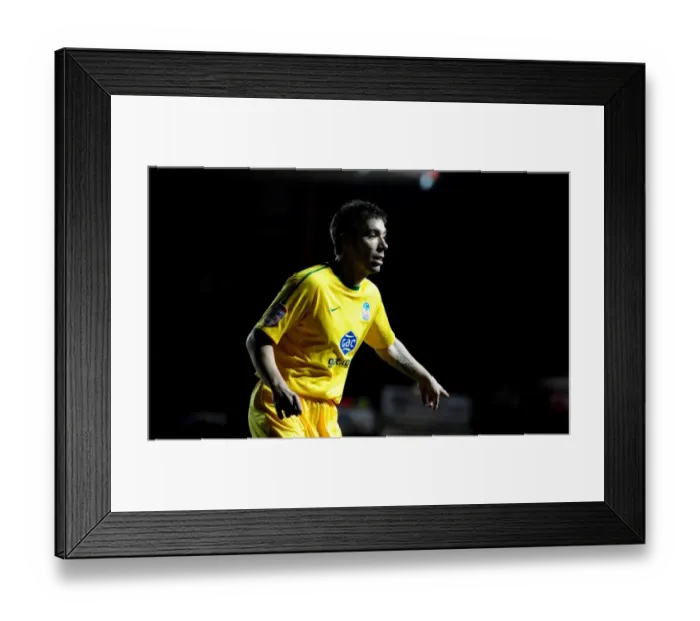 Framed Print : Bristol City vs Crystal Palace: Season 11-12 Football Showdown Framed Print : Bristol City vs Crystal Palace: Season 11-12 Football Showdown
