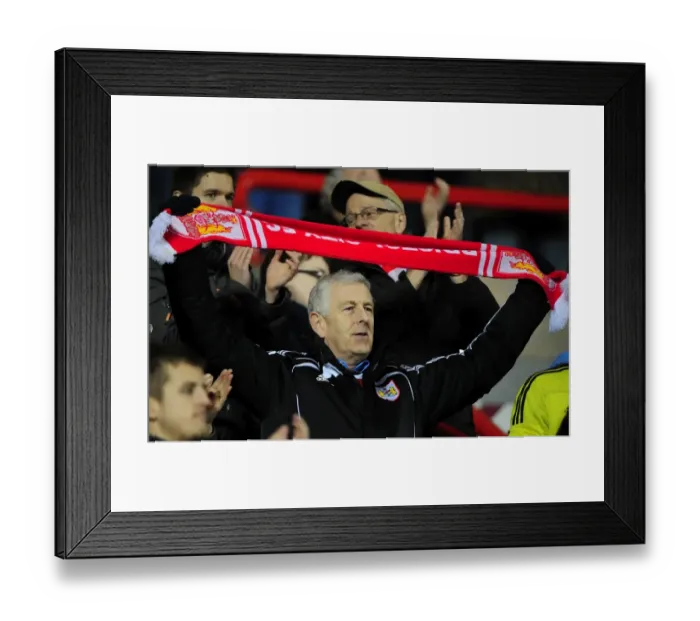 Framed Print : Bristol City vs. Crystal Palace: A Football Rivalry - Season 11-12 Framed Print : Bristol City vs. Crystal Palace: A Football Rivalry - Season 11-12