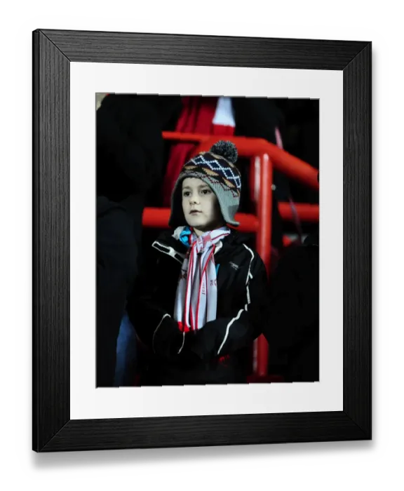 Framed Print : Bristol City v Crystal Palace Framed Print : Bristol City v Crystal Palace