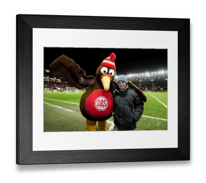 Framed Print : Bristol City vs. Crystal Palace: A Football Showdown - Season 11-12 Framed Print : Bristol City vs. Crystal Palace: A Football Showdown - Season 11-12