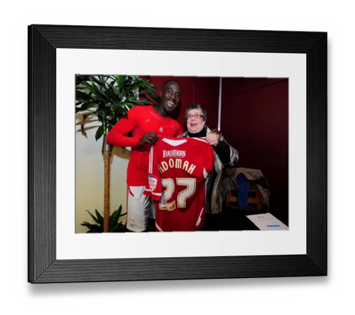 Framed Print : Bristol City vs. Crystal Palace: A Football Showdown - Season 11-12 Framed Print : Bristol City vs. Crystal Palace: A Football Showdown - Season 11-12