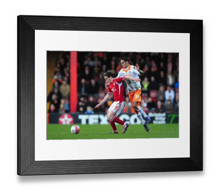 Framed Print : Neil Kilkenny vs. Thomas Ince: Intense Battle at Ashton Gate, Bristol City vs. Blackpool, 2012 Framed Print : Neil Kilkenny vs. Thomas Ince: Intense Battle at Ashton Gate, Bristol City vs. Blackpool, 2012