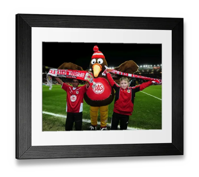 Framed Print : Rivalry Reborn: Bristol City vs. Leicester City Clash at Ashton Gate Stadium - March 6, 2012 Framed Print : Rivalry Reborn: Bristol City vs. Leicester City Clash at Ashton Gate Stadium - March 6, 2012