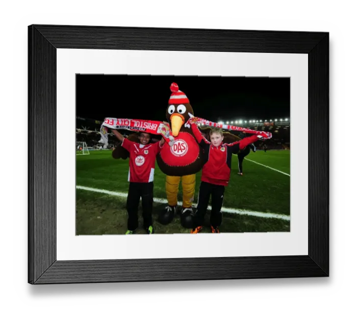 Framed Print : Bristol City vs Leicester City: A Football Rivalry at Ashton Gate, 2012 Framed Print : Bristol City vs Leicester City: A Football Rivalry at Ashton Gate, 2012