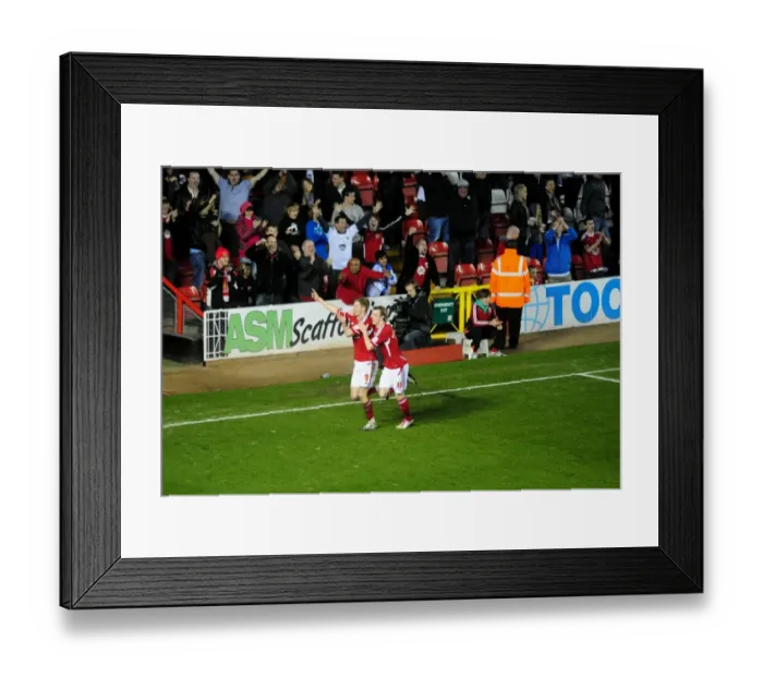 Framed Print : Jon Stead's Euphoric Goal Celebration: A Standout Moment at Ashton Gate Stadium (Bristol City vs. Cardiff City, 2012)
