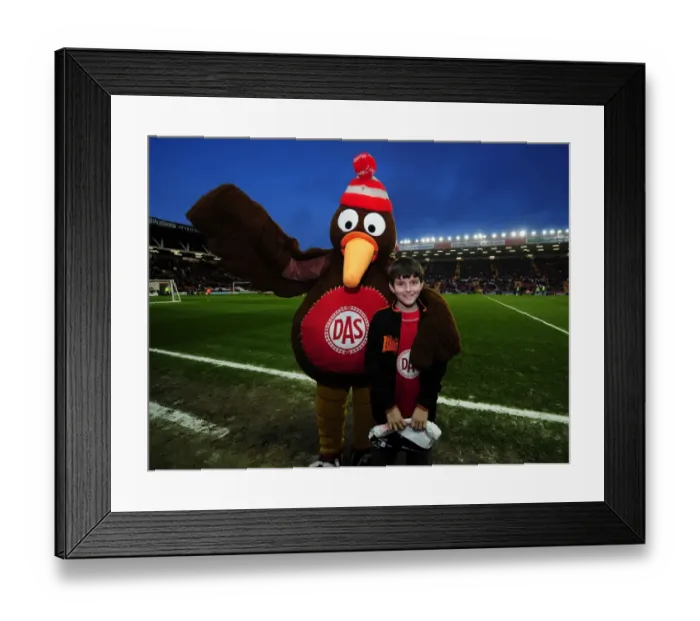 Framed Print : Bristol City vs. Cardiff City: A Football Rivalry at Ashton Gate Stadium - March 10, 2012 Framed Print : Bristol City vs. Cardiff City: A Football Rivalry at Ashton Gate Stadium - March 10, 2012