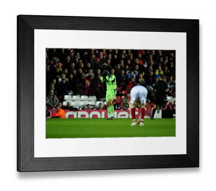 Framed Print : Bristol City's David James in Distress After Giving Up First Goal to Watford (2012) Framed Print : Bristol City's David James in Distress After Giving Up First Goal to Watford (2012)