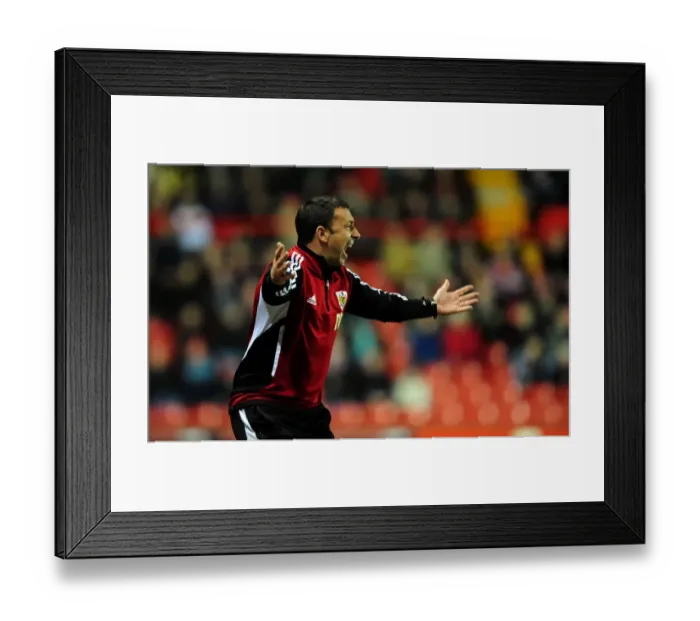 Framed Print : Derek McInnes Leads Bristol City Against Watford at Ashton Gate, 2012