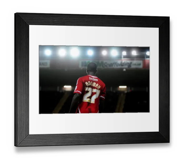 Framed Print : Bristol City vs. Watford Rivalry: A Football Battle at Ashton Gate - March 20, 2012 Framed Print : Bristol City vs. Watford Rivalry: A Football Battle at Ashton Gate - March 20, 2012