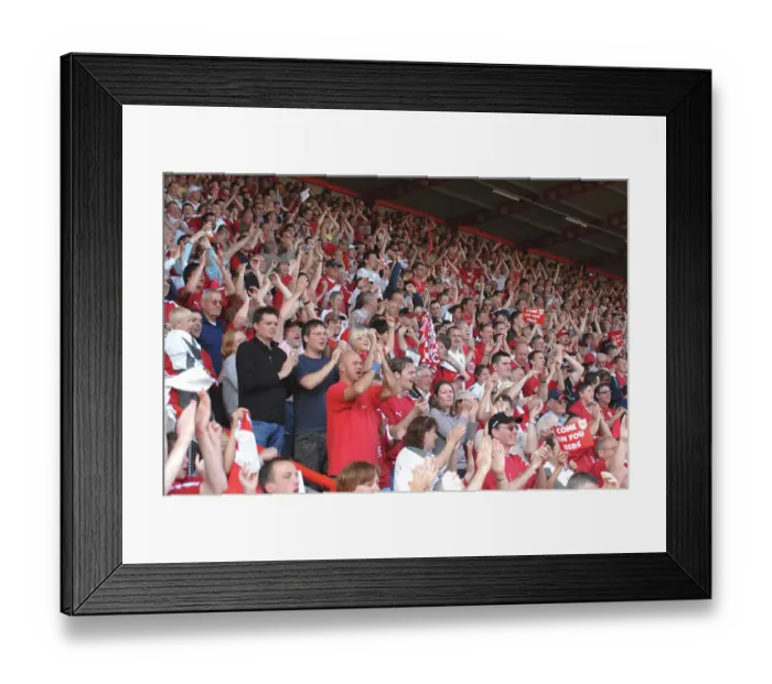 Framed Print : Bristol City Football Club: Uniting Passionate Fans in Promotion Celebration