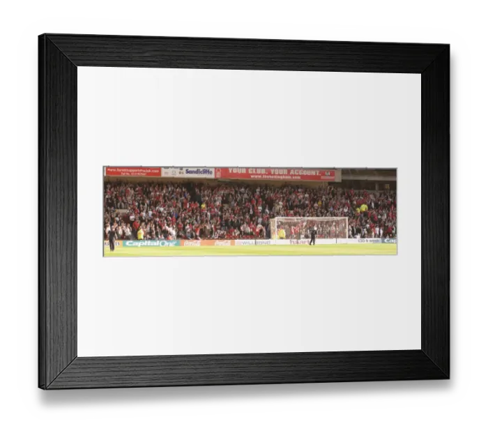 Framed Print : Unity Amongst the Sea of Bristol City FC Fans