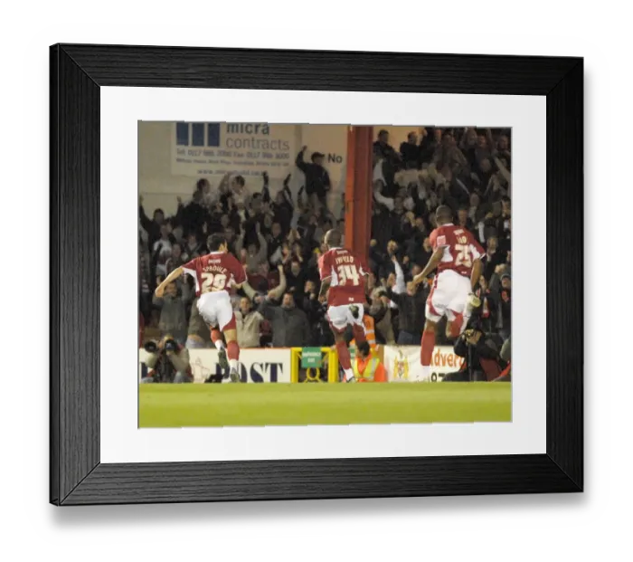 Framed Print : A Sea of Passion: United Bristol City Football Club Fans