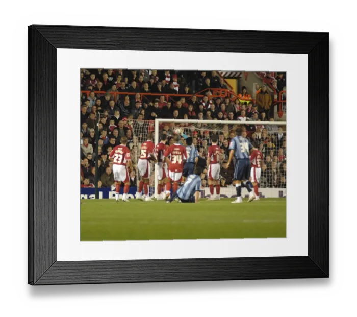 Framed Print : reid fkick saved 3 Framed Print : reid fkick saved 3