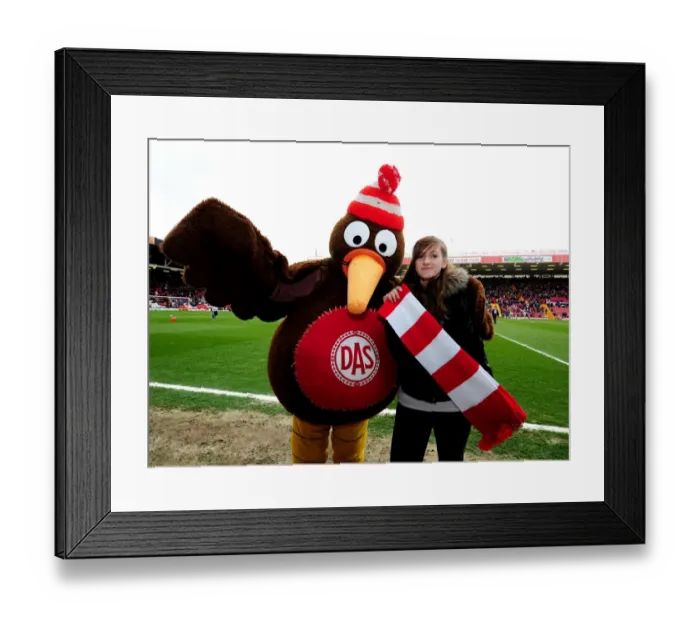 Framed Print : Bristol City vs Derby County Rivalry: A Football Showdown at Ashton Gate Stadium - March 31, 2012