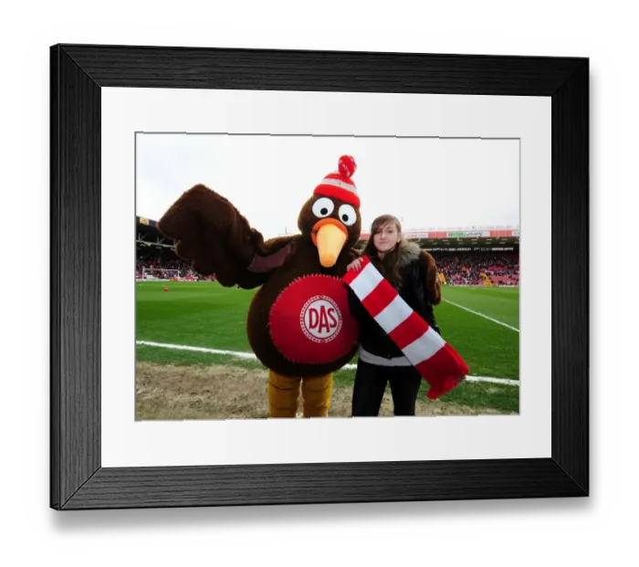 Framed Print : Bristol City vs Derby County Rivalry: A Football Showdown at Ashton Gate Stadium - March 31, 2012 Framed Print : Bristol City vs Derby County Rivalry: A Football Showdown at Ashton Gate Stadium - March 31, 2012
