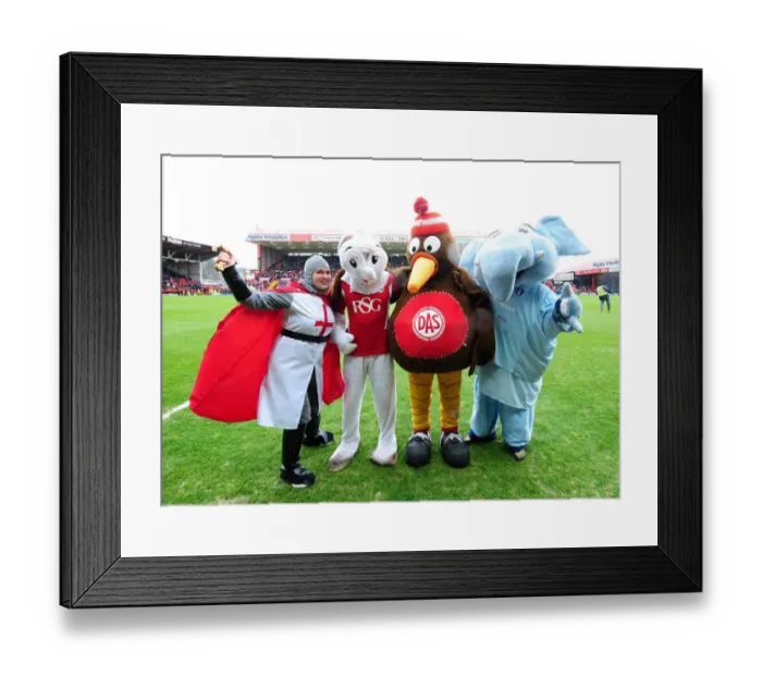 Framed Print : Bristol City vs Coventry City: Rivalry Reignites at Ashton Gate Stadium (April 9, 2012)