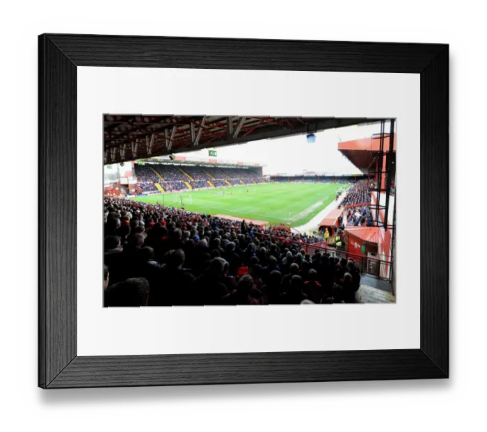 Framed Print : Bristol City v Coventry City