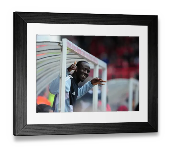 Framed Print : Bristol City's Albert Adomah in Action against Barnsley at Ashton Gate Stadium, 2012 Framed Print : Bristol City's Albert Adomah in Action against Barnsley at Ashton Gate Stadium, 2012