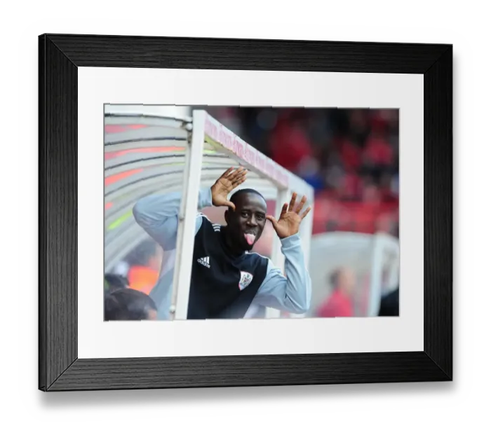 Framed Print : Bristol City's Albert Adomah in Action at Ashton Gate Stadium (2012)
