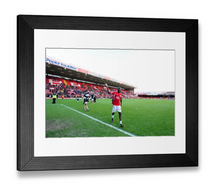 Framed Print : Bristol City's Albert Adomah in Action at Ashton Gate Stadium (2012) Framed Print : Bristol City's Albert Adomah in Action at Ashton Gate Stadium (2012)