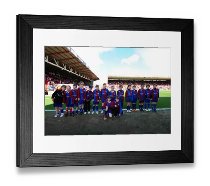 Framed Print : Exciting Showdown: Bristol City vs Barnsley at Ashton Gate Stadium - April 2012 Framed Print : Exciting Showdown: Bristol City vs Barnsley at Ashton Gate Stadium - April 2012