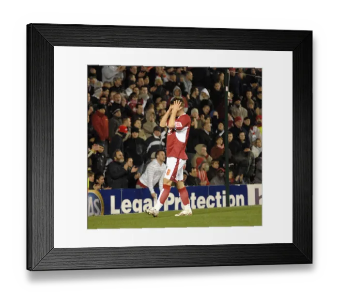 Framed Print : David Noble