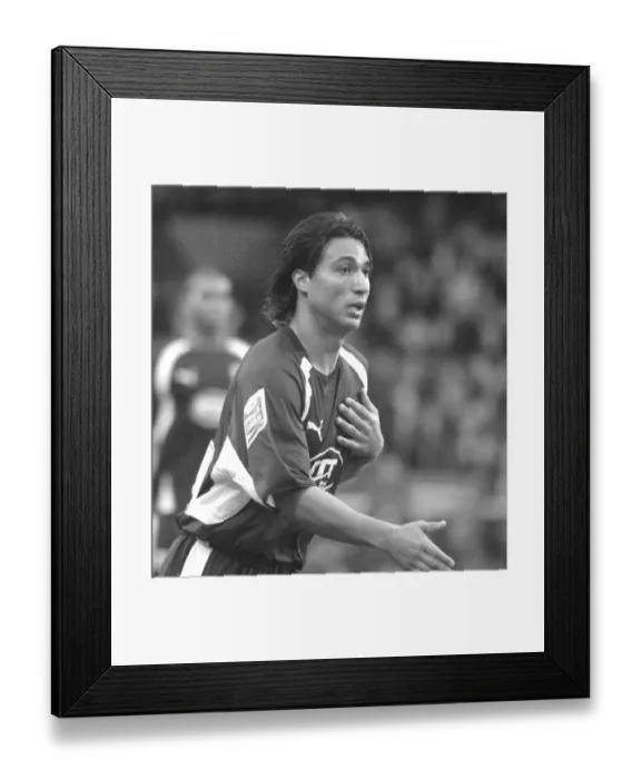 Framed Print : Nick Carle in Action: Crystal Palace vs. Bristol City Framed Print : Nick Carle in Action: Crystal Palace vs. Bristol City