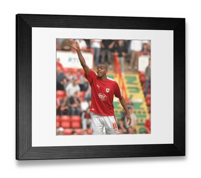 Framed Print : Bristol City First Team: 2022-2023 Season Recap