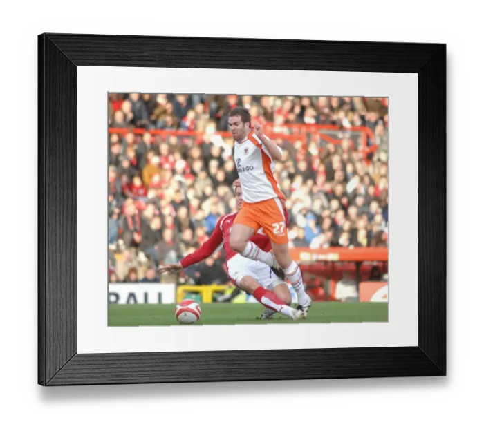Framed Print : Tamas Vasko Framed Print : Tamas Vasko