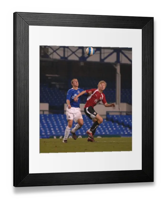 Framed Print : Rose tussle 1
