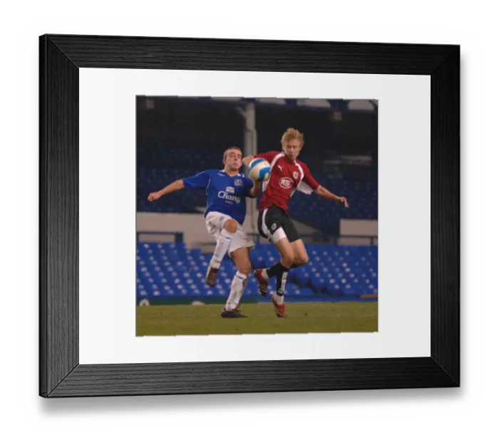 Framed Print : Rose tussle 2 Framed Print : Rose tussle 2