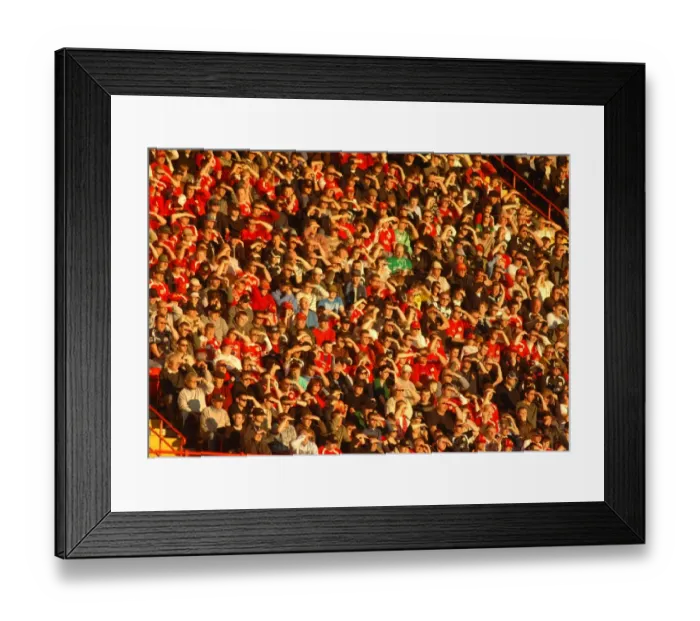Framed Print : Fans Framed Print : Fans