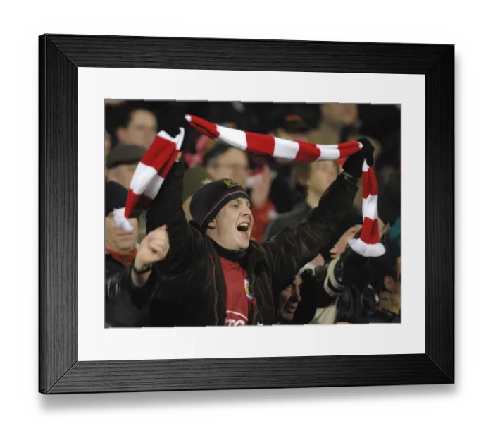 Framed Print : Bristol City V Crystal Palace Framed Print : Bristol City V Crystal Palace